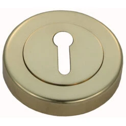 Domino Brass - Escutcheon - Skeleton Key Concealed Round D53mm -Deals Windsor Restorations Store 2b3f33 61f83bac5f00409fb4a6afcb4f410694mv2