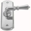 Domino Brass - Screen Door Latch - Decorative Straight Lever Plate