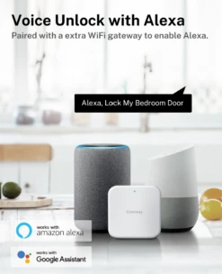 Austyle - Digital Smart Entrance Deadbolt Kit H169xW63mm -Deals Windsor Restorations Store 2b3f33 e44f5d614a714ac88ef58562b648445cmv2