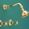 CB Ideal - Olde Adelaide - Ball Joint Shower Set